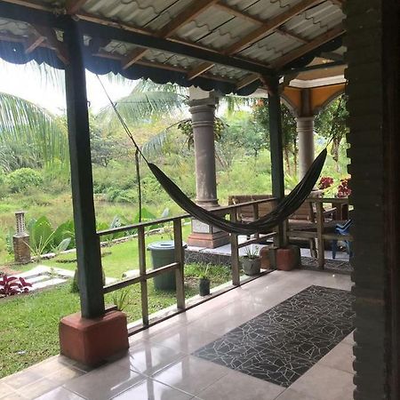 Hotel Sumatra Cheeky Monkeys Bukit Lawang Esterno foto