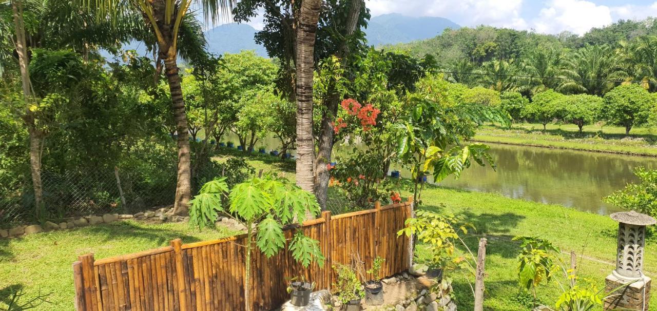Hotel Sumatra Cheeky Monkeys Bukit Lawang Esterno foto