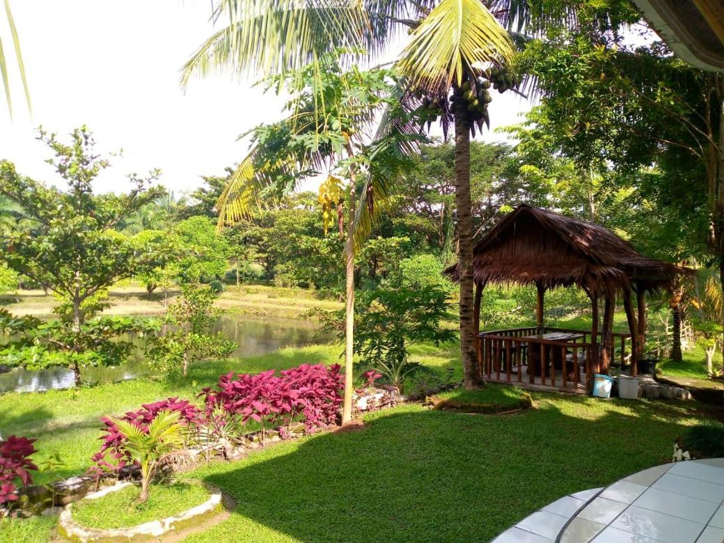 Hotel Sumatra Cheeky Monkeys Bukit Lawang Esterno foto