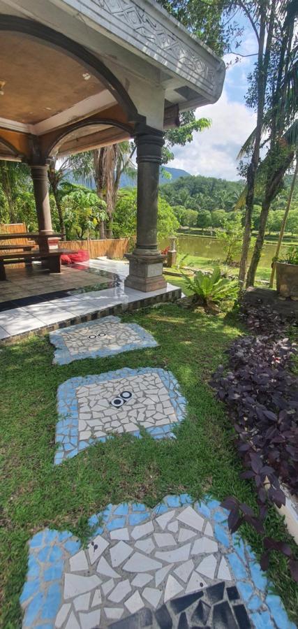 Hotel Sumatra Cheeky Monkeys Bukit Lawang Esterno foto