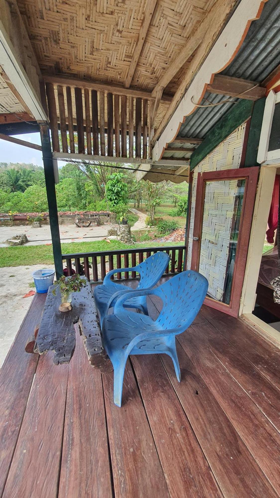 Hotel Sumatra Cheeky Monkeys Bukit Lawang Esterno foto